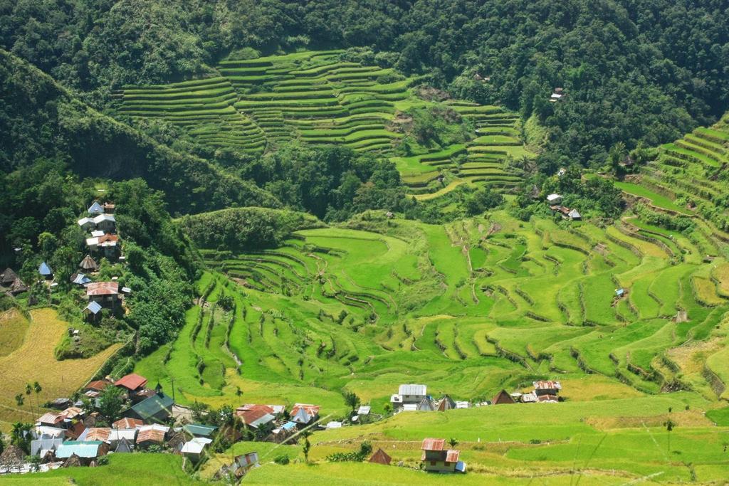 Batad Transient House Hotel Banaue Exterior foto
