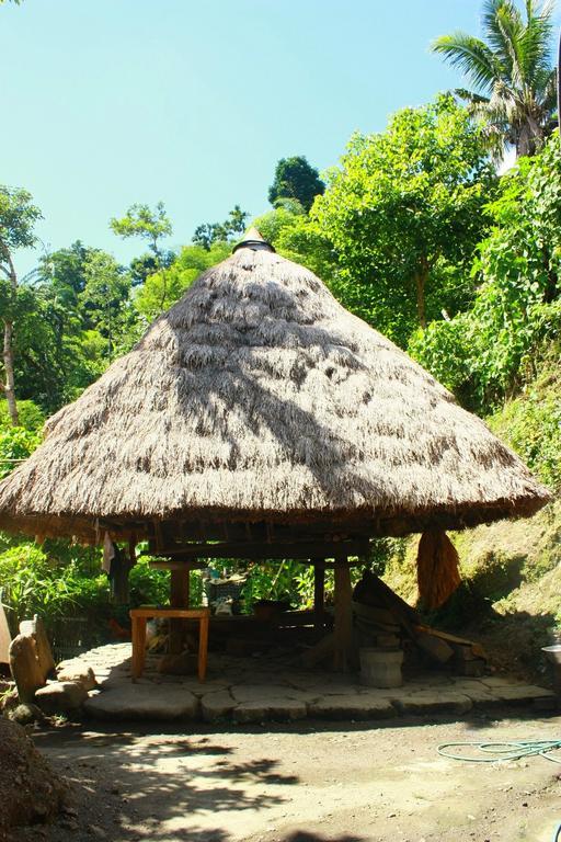 Batad Transient House Hotel Banaue Quarto foto