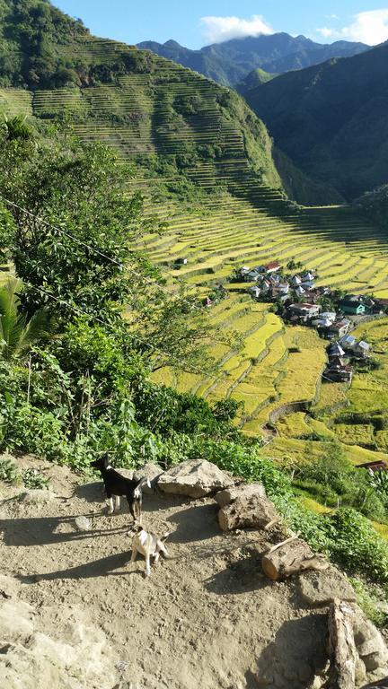 Batad Transient House Hotel Banaue Exterior foto