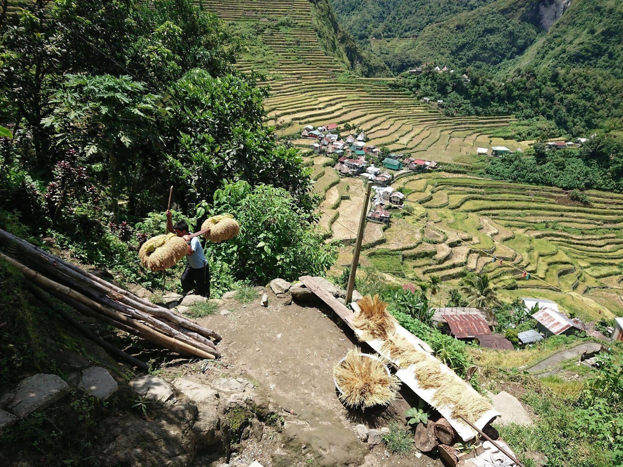 Batad Transient House Hotel Banaue Exterior foto
