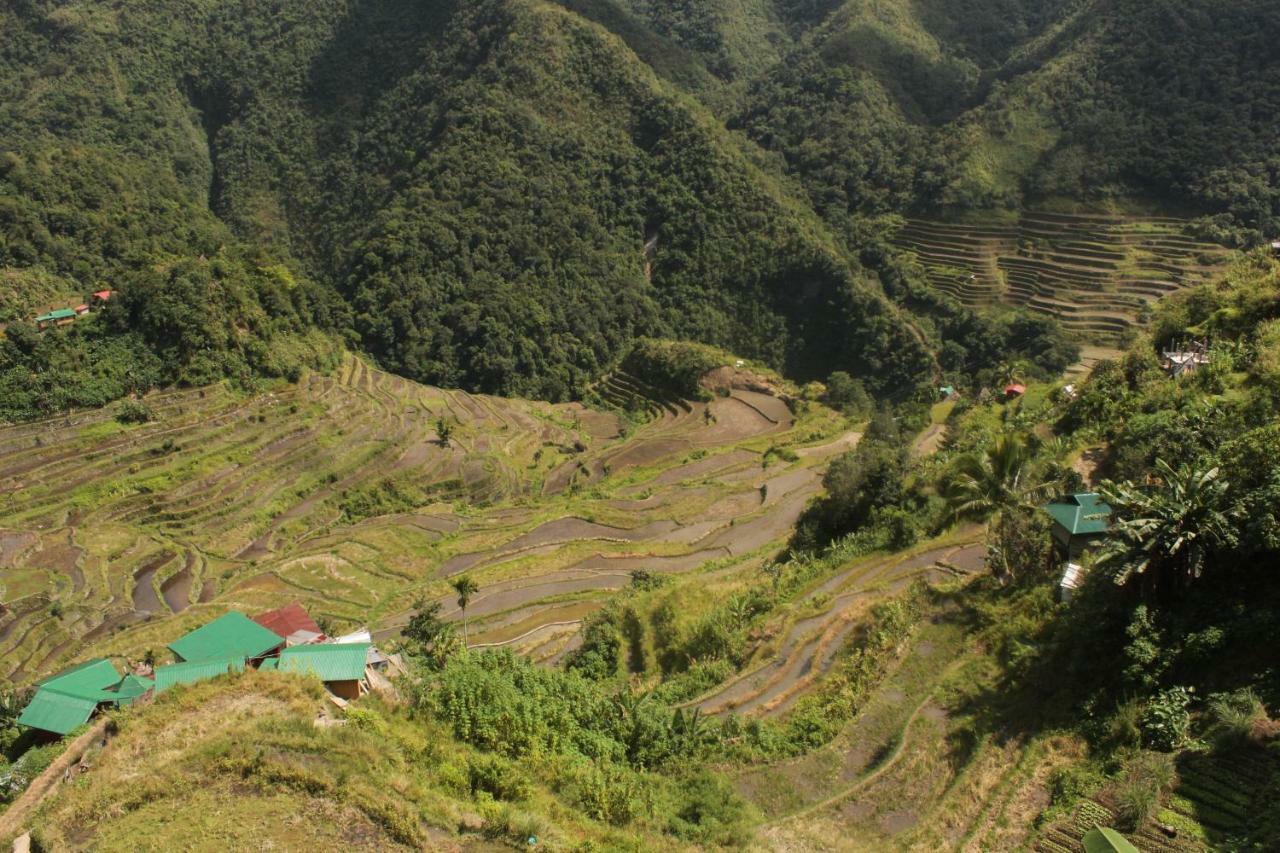 Batad Transient House Hotel Banaue Exterior foto