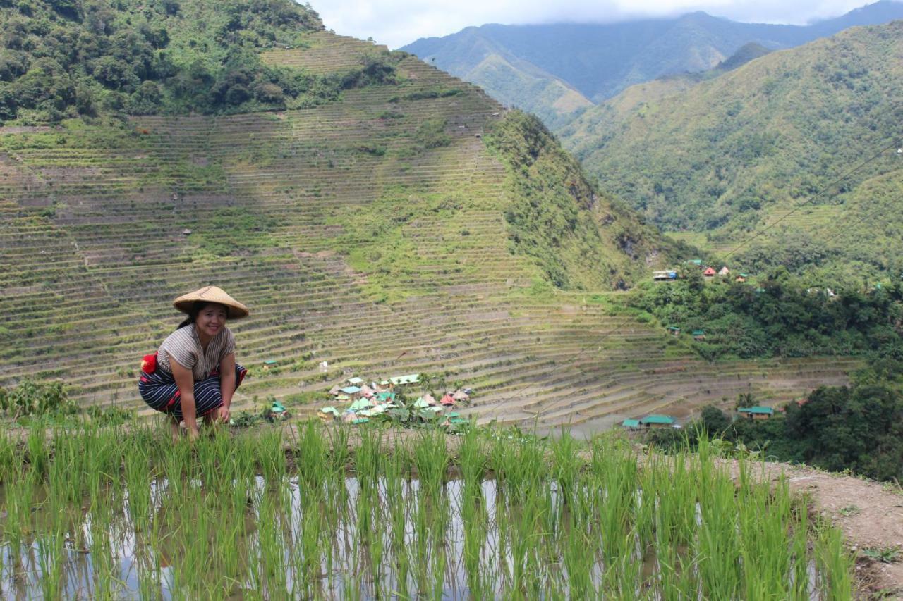 Batad Transient House Hotel Banaue Exterior foto